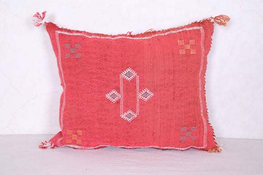 Moroccan kilim pillow 14.5 INCHES X 18.5 INCHES
