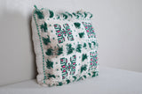 Berber kilim Pillow 19.6 INCHES X 21.2 INCHES